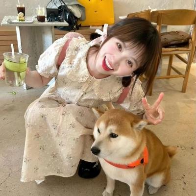 废柴联盟第二季